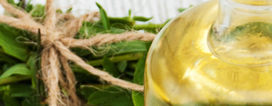 Šentjanževo olje (Hypericum perforatum) 